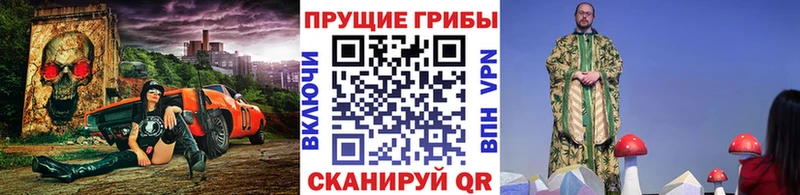 закладки  Ковылкино  Галлюциногенные грибы Magic Shrooms 
