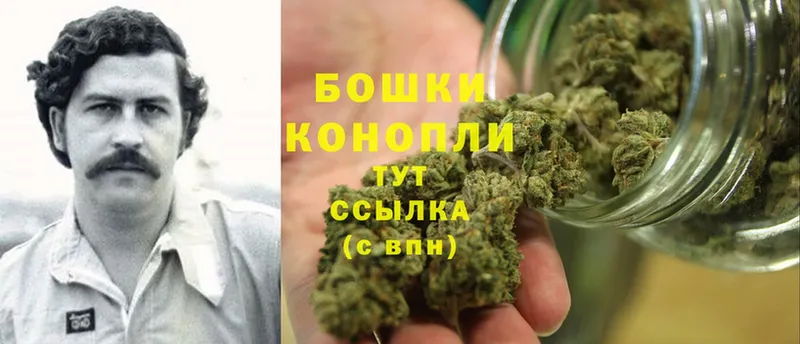 Бошки марихуана White Widow  наркотики  Ковылкино 