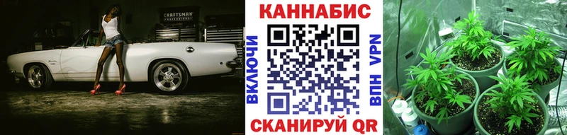 Каннабис SATIVA & INDICA  блэк спрут ССЫЛКА  Ковылкино  хочу  